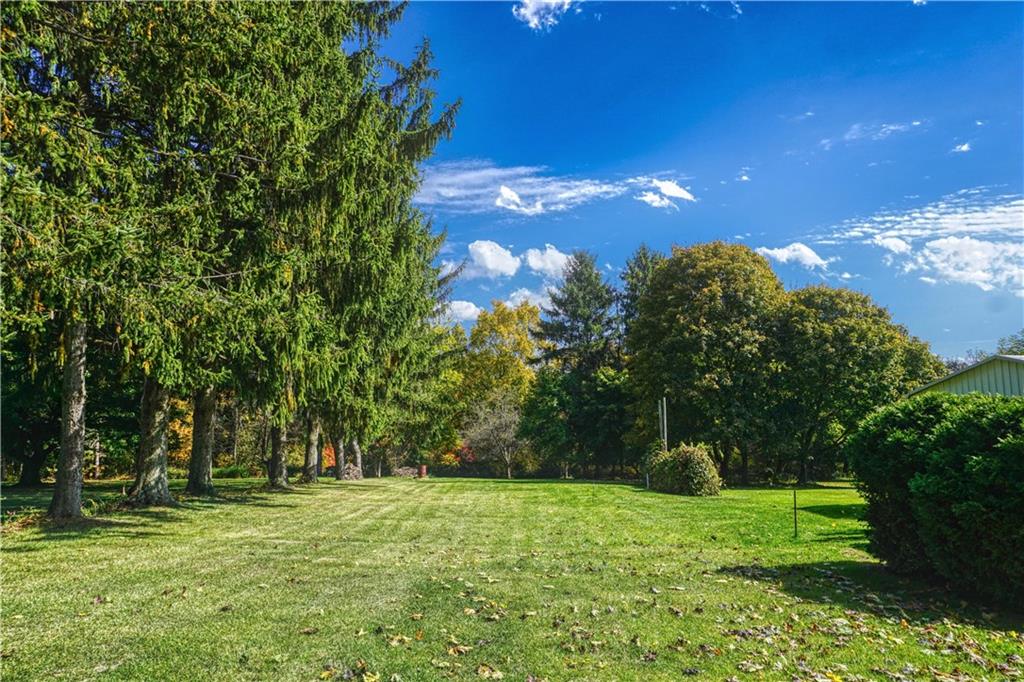 215 Freeport Road Butler, PA 16002 - Photo 5 of 25 a backyard of a house with lots of green space