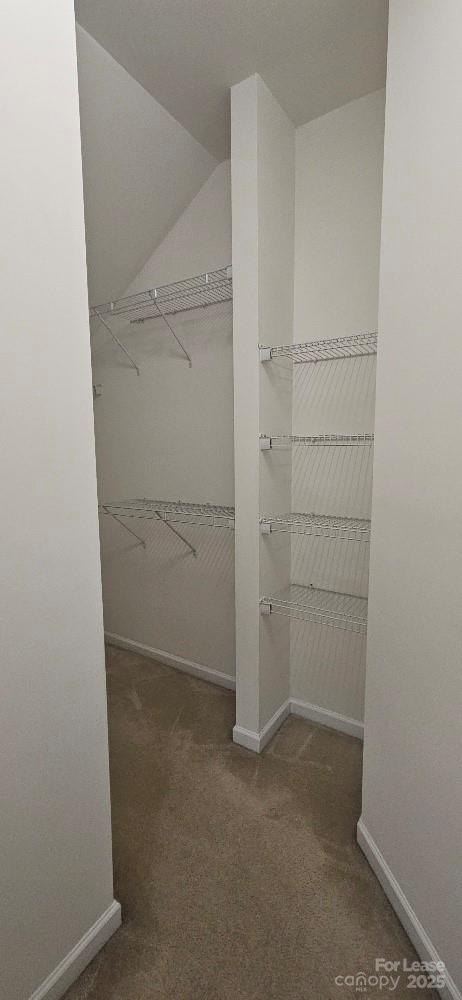 6941 Augustine Way Charlotte, NC 28270 - Photo 38 of 47