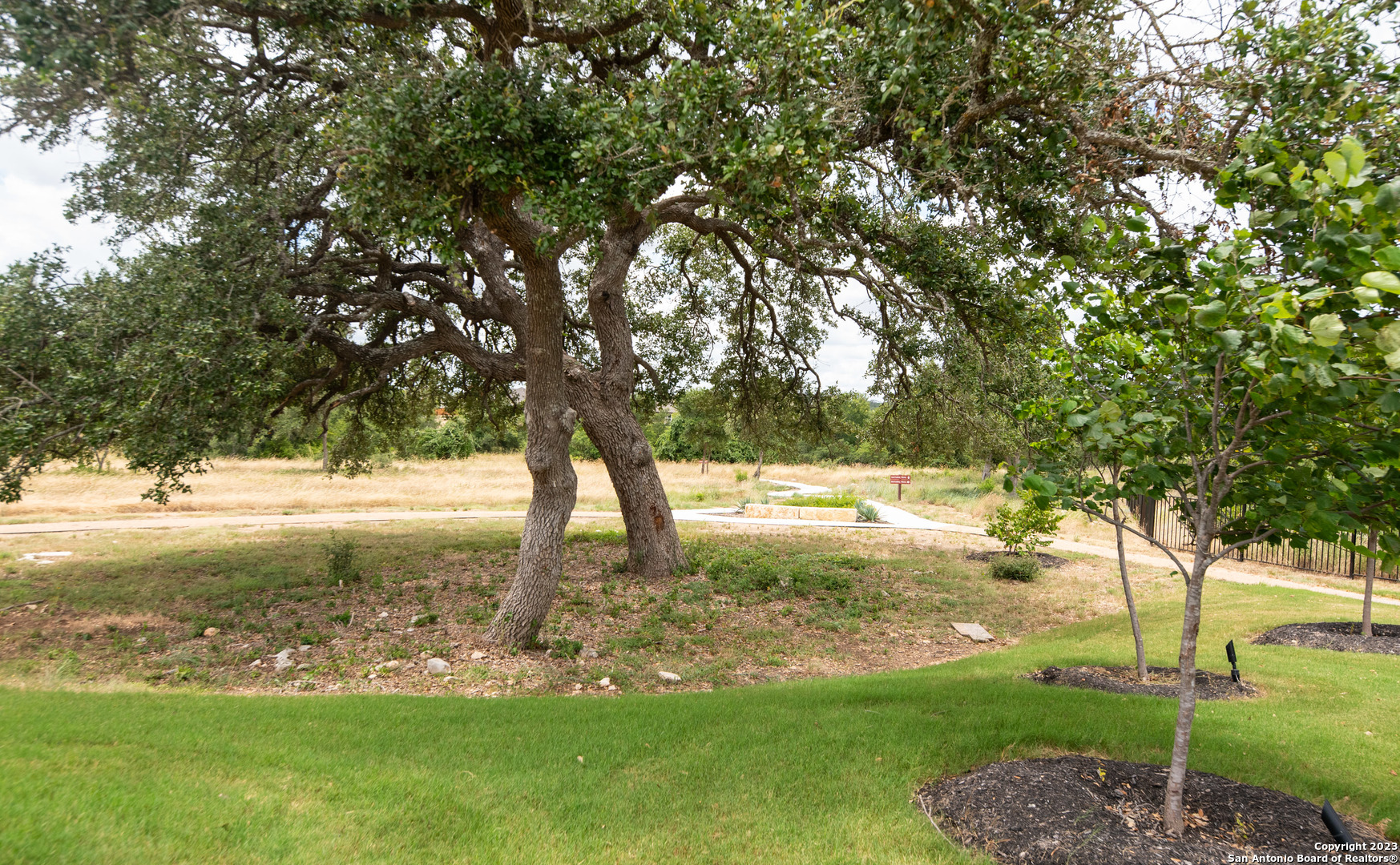1609 Ranch House New Braunfels, TX 78132 - Photo 29 of 39 a view of yard with large trees