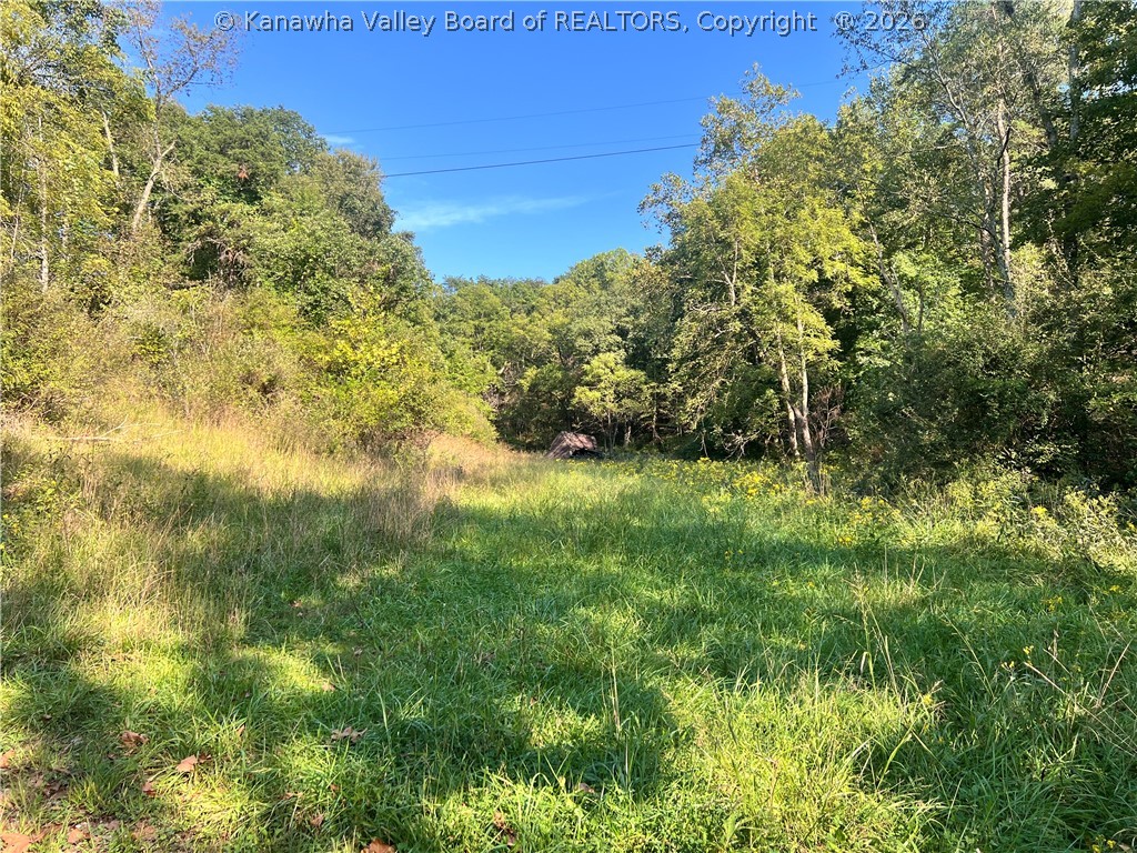 9405 Jim Hill Road Henderson, WV 25106 - Photo 1 of 5 Gallery Image 1