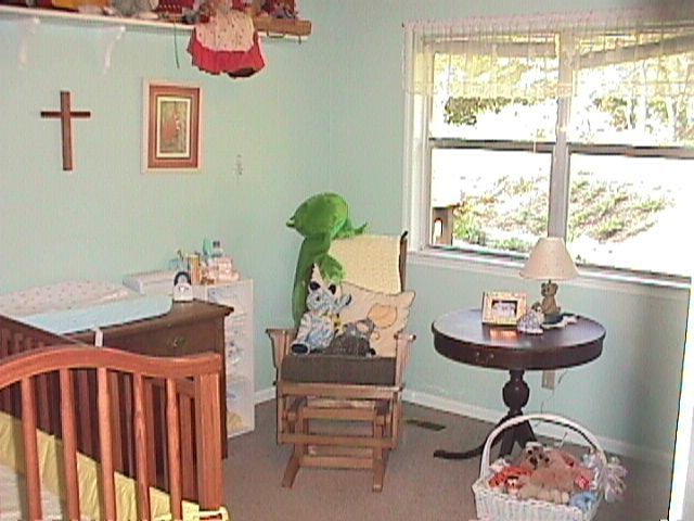 5217 Howardsville Road Apison, TN 37302 - Photo 6 of 9 Additional Photo