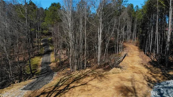 a view of a pathway of a yard