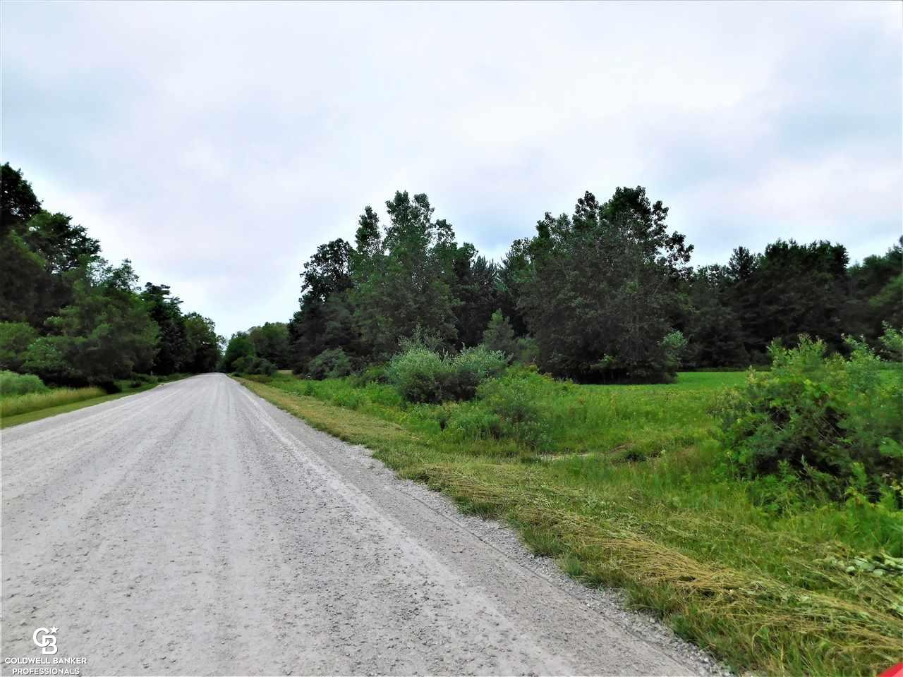 Cribbins Road North Street, MI 48049 - Photo 7 of 7