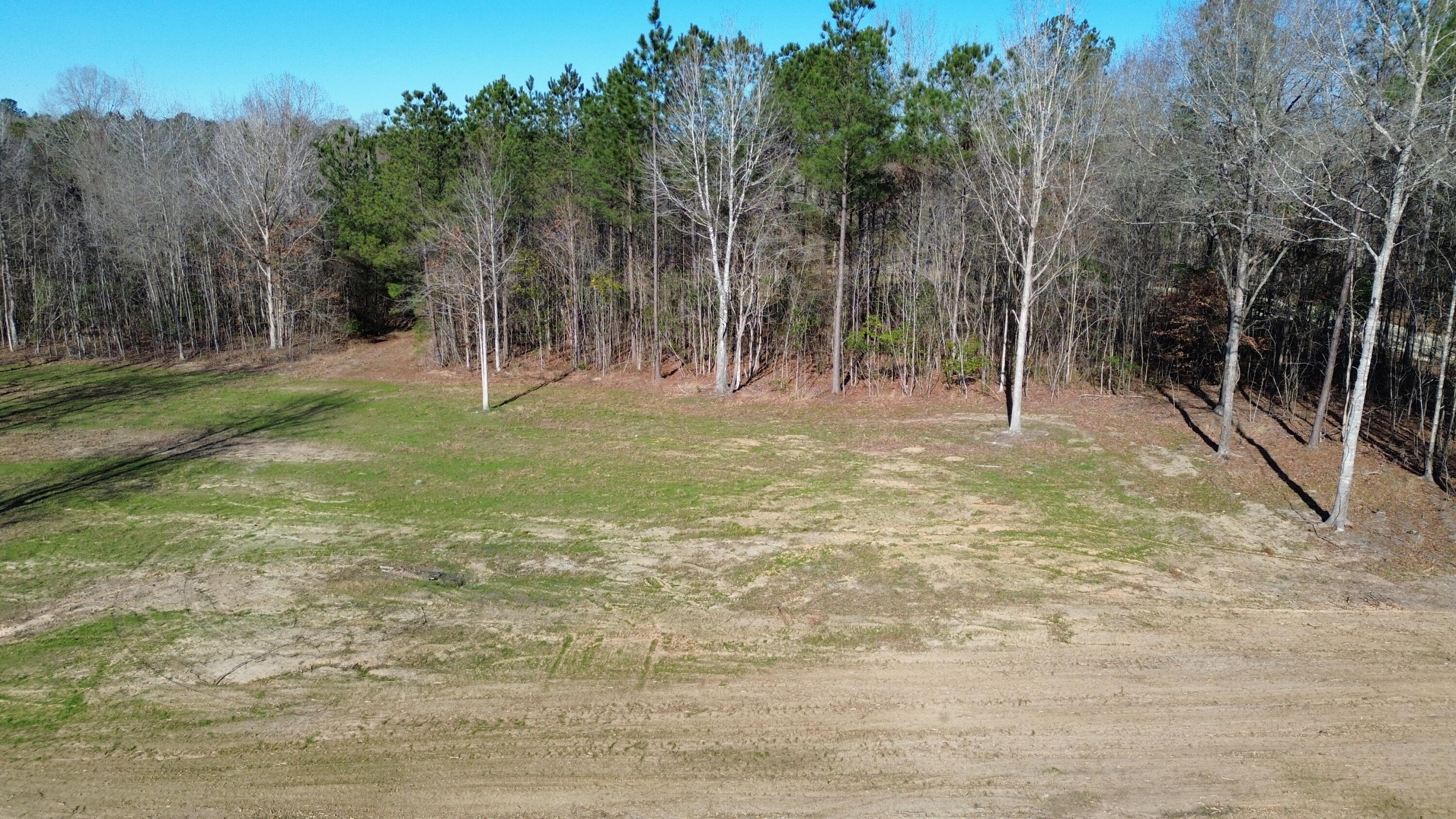 1 Crystal Lake Trail Huger, SC 29450 - Photo 11 of 29 DJI_0495