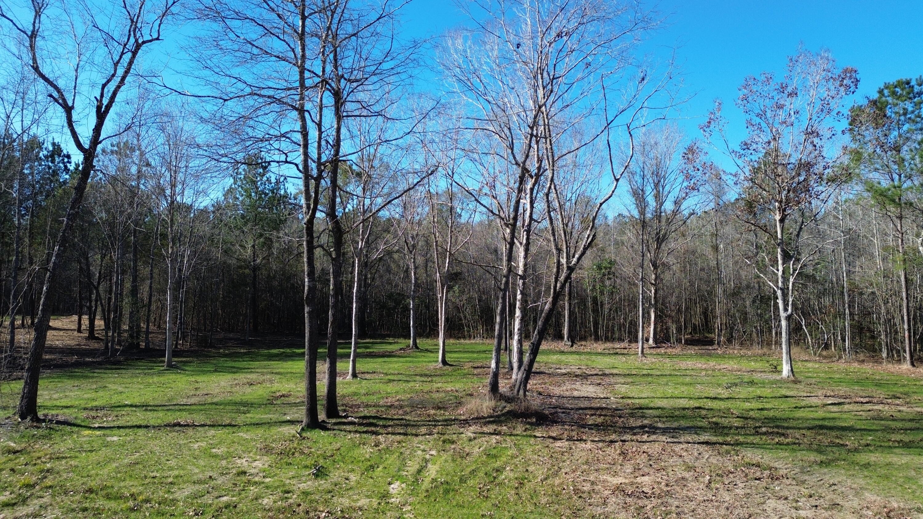 1 Crystal Lake Trail Huger, SC 29450 - Photo 14 of 29 DJI_0498