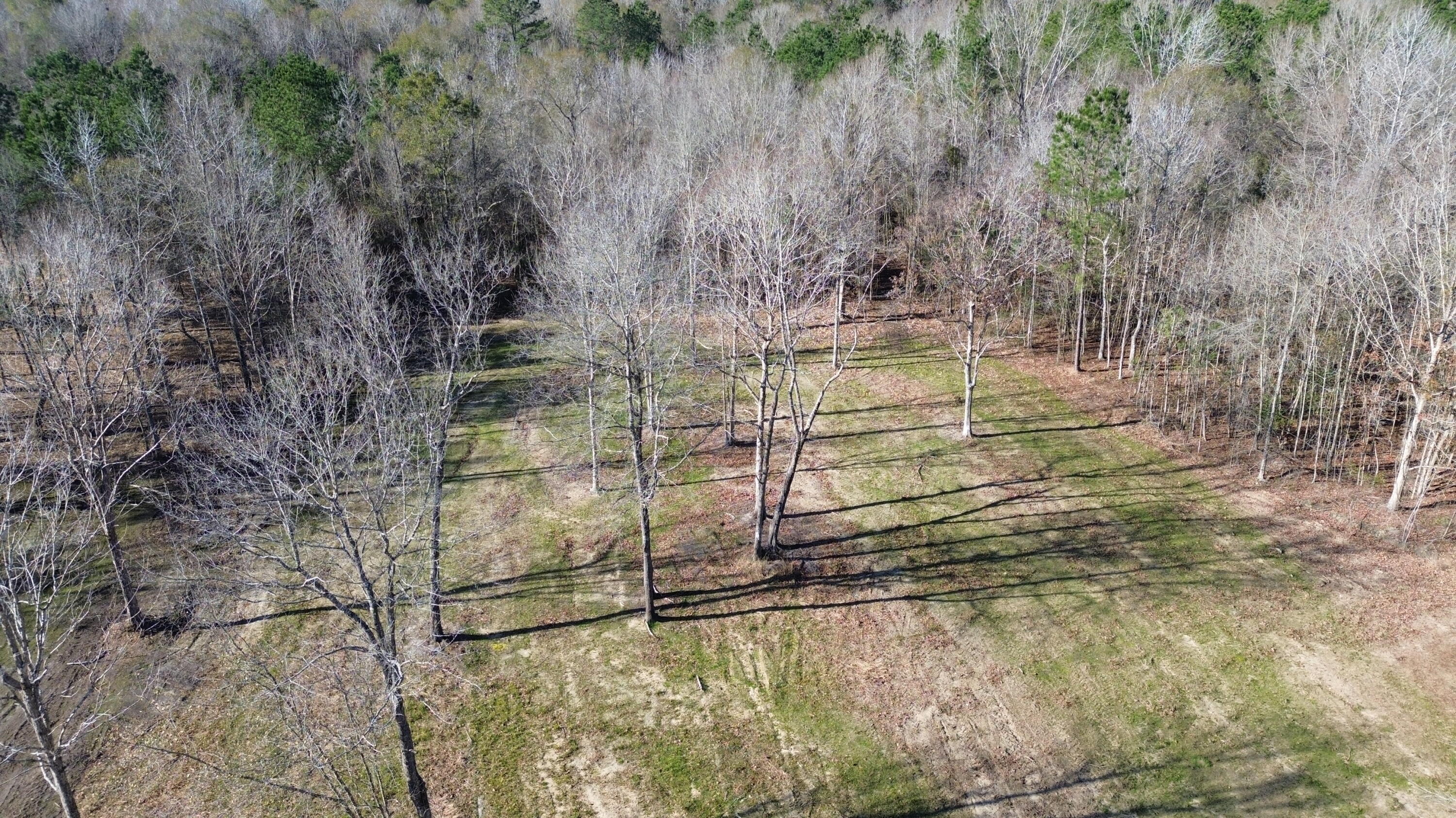 1 Crystal Lake Trail Huger, SC 29450 - Photo 18 of 29 DJI_0502