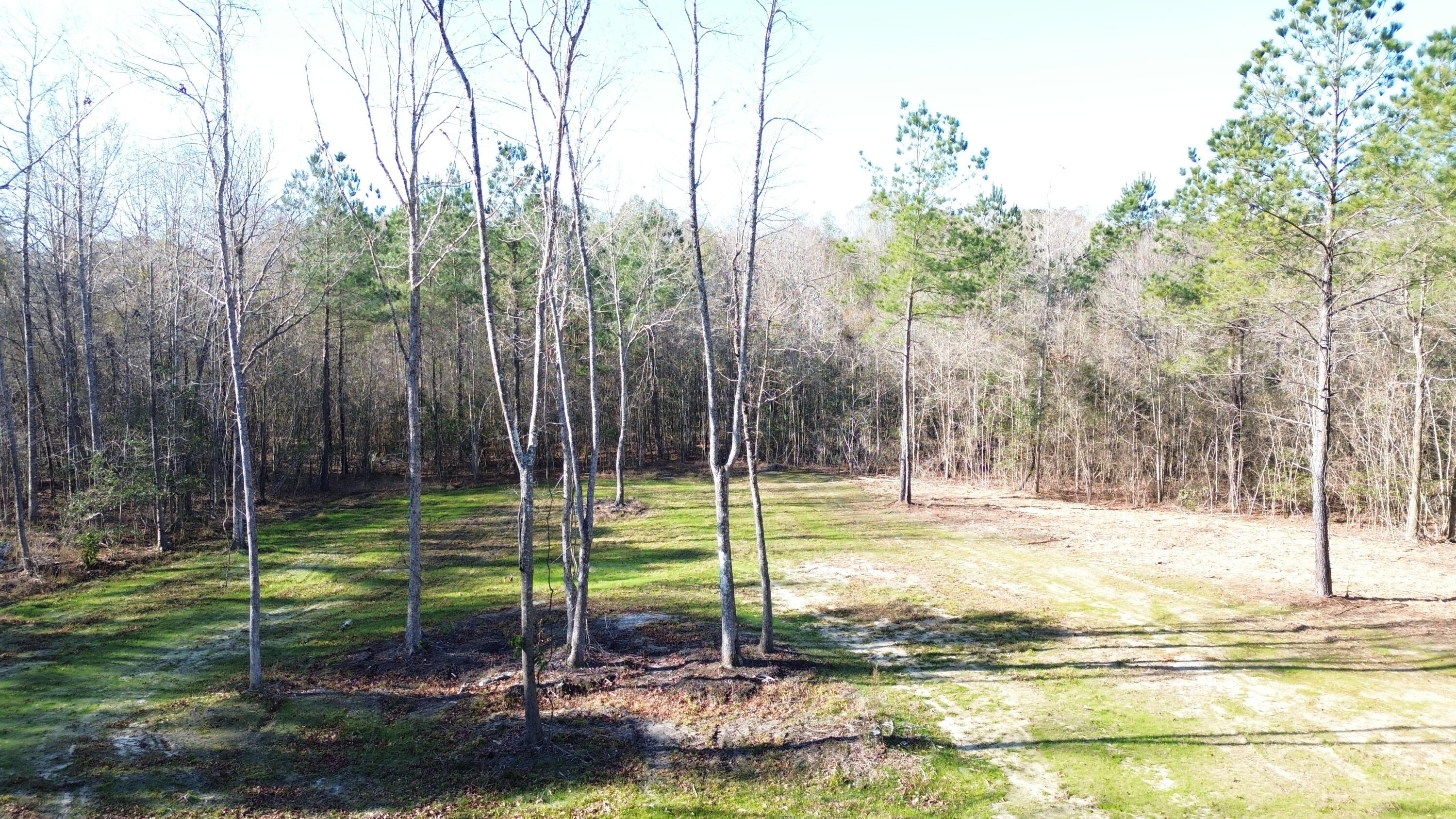 1 Crystal Lake Trail Huger, SC 29450 - Photo 27 of 29 DJI_0512