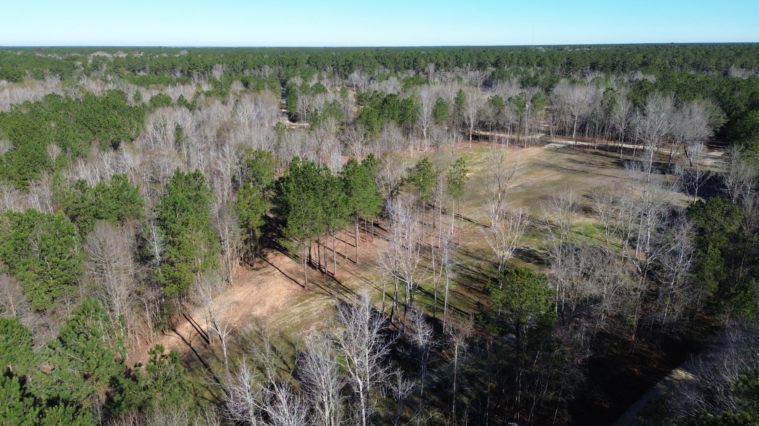 1 Crystal Lake Trail Huger, SC 29450 - Photo 3 of 29 DJI_0486