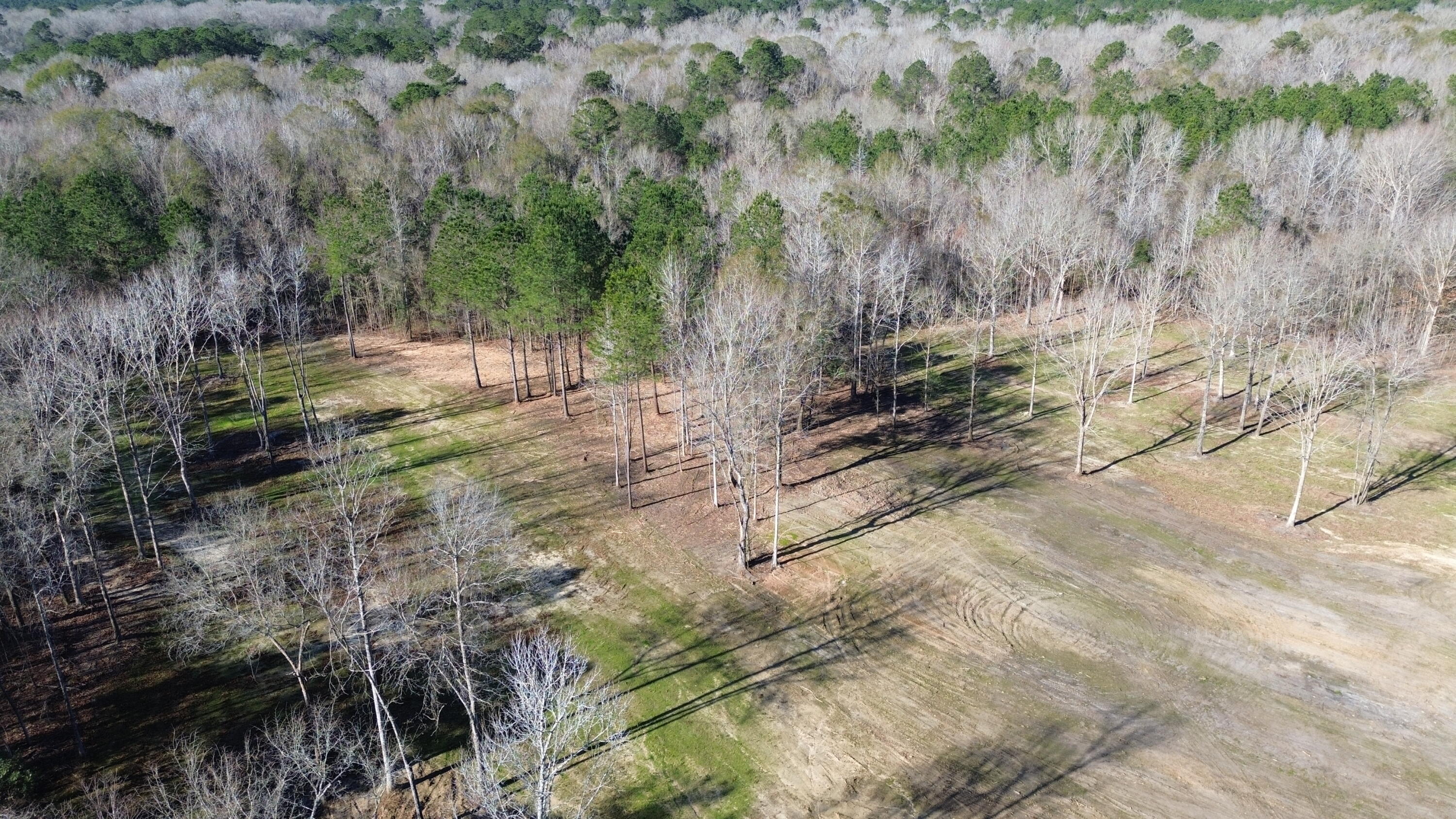 1 Crystal Lake Trail Huger, SC 29450 - Photo 6 of 29 DJI_0489