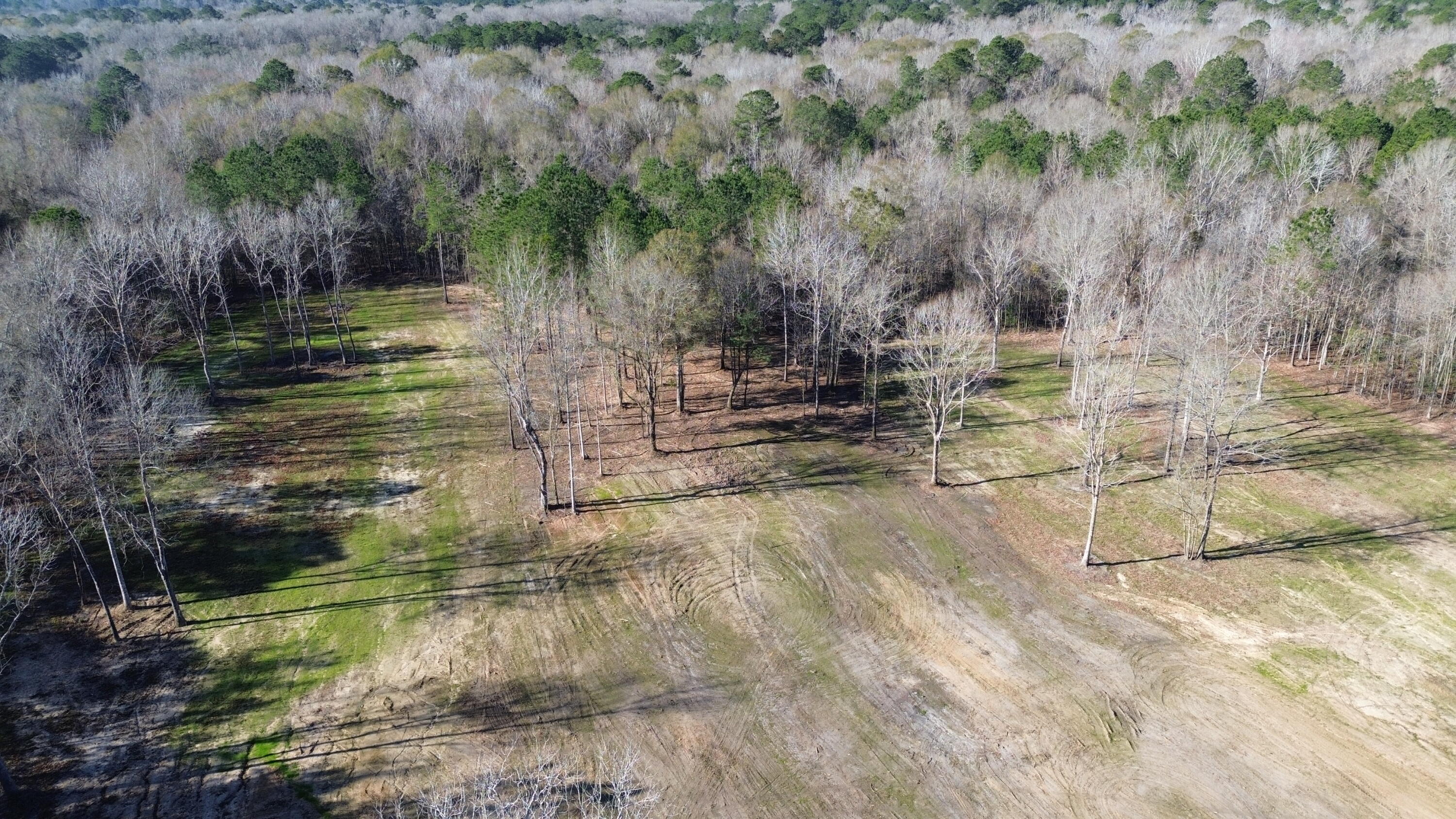 1 Crystal Lake Trail Huger, SC 29450 - Photo 7 of 29 DJI_0490