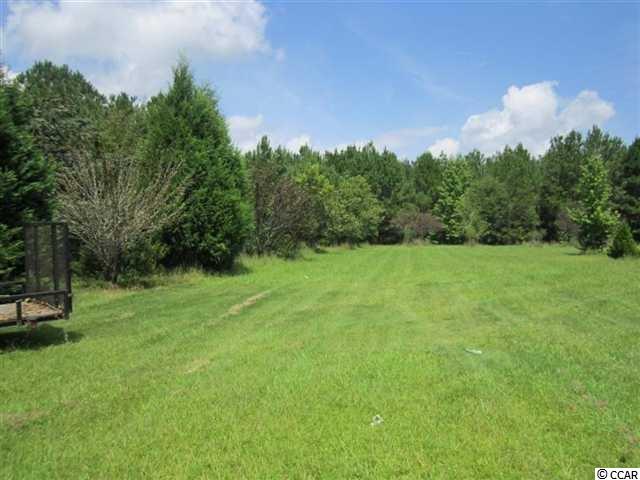 77-ac Emu Road Kingstree, SC 29556 - Photo 1 of 4