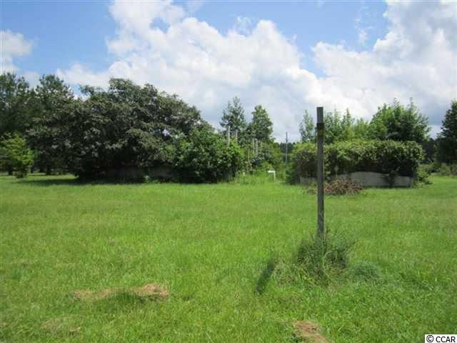 77-ac Emu Road Kingstree, SC 29556 - Photo 3 of 4