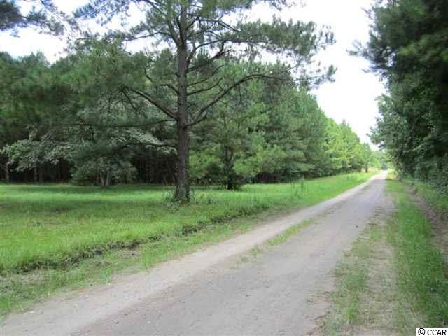 77-ac Emu Road Kingstree, SC 29556 - Photo 4 of 4