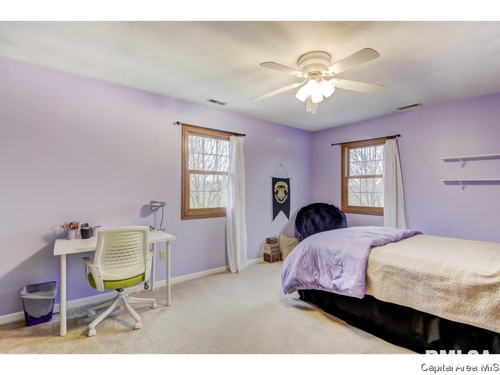 203 Bristol Road Chatham, IL 62629 - Photo 21 of 35 Gallery Image 21