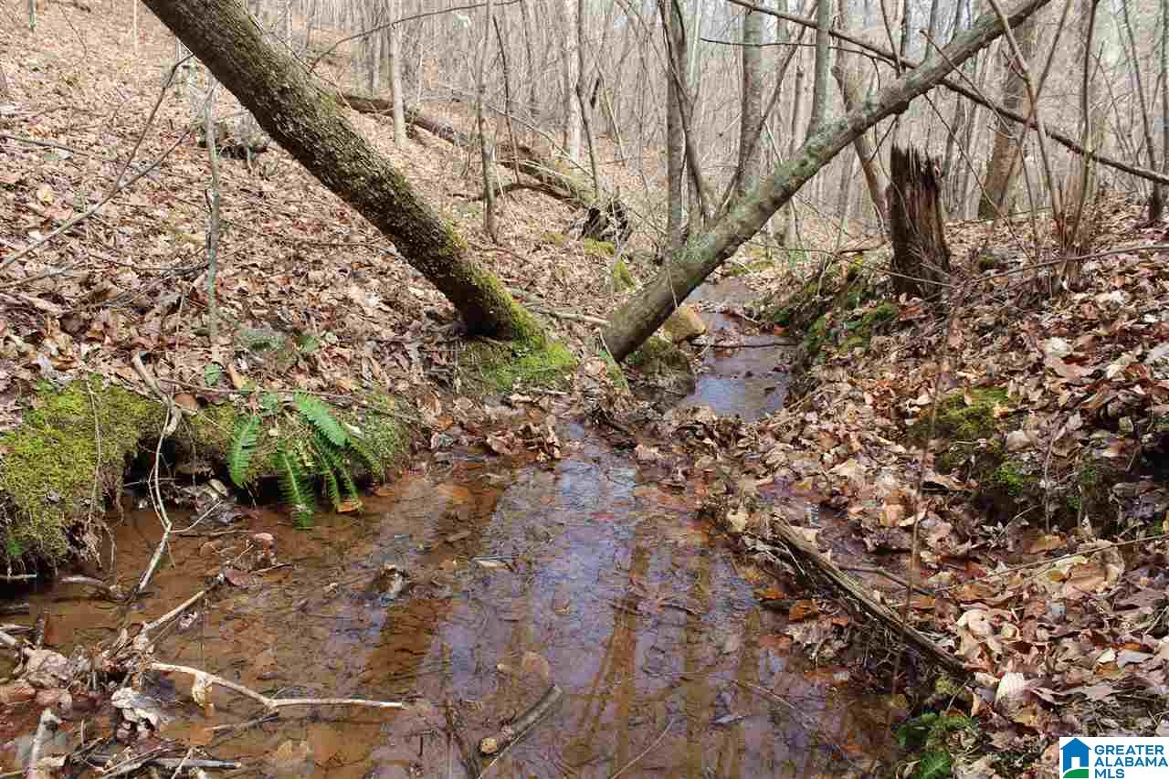 0 County Road 893 Heflin, AL 36264 - Photo 13 of 17
