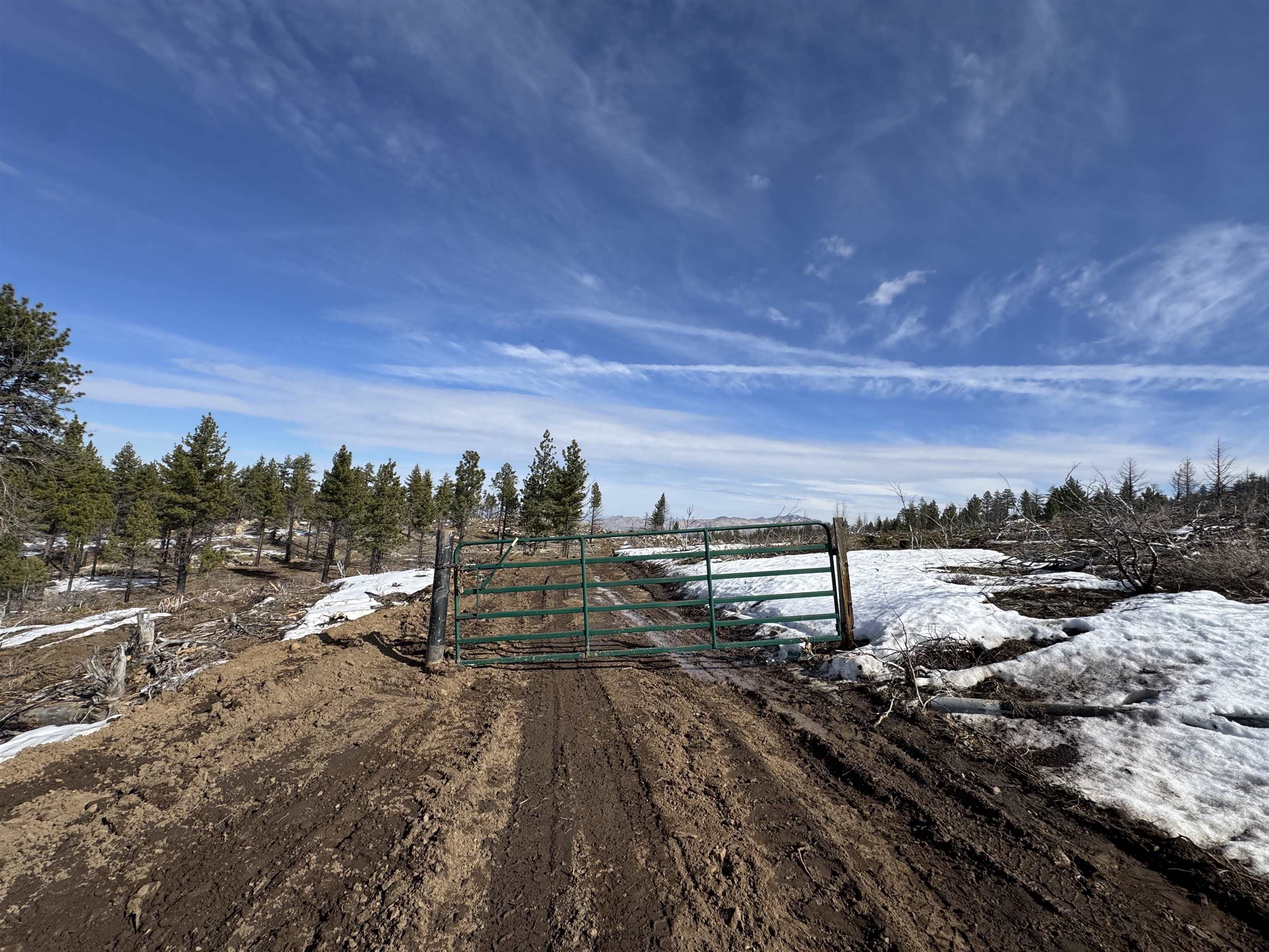 434-100 Diamond Mountain Road Doyle, CA 96109 - Photo 40 of 57