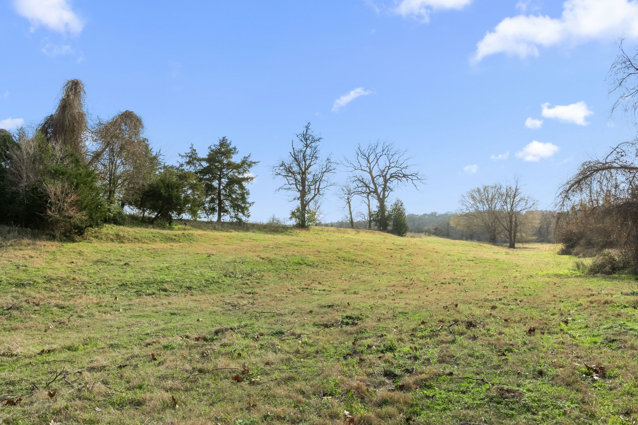 Tbd Shaws Bend Road Columbus, TX 78934 - Photo 22 of 35 a view of outdoor space and yard