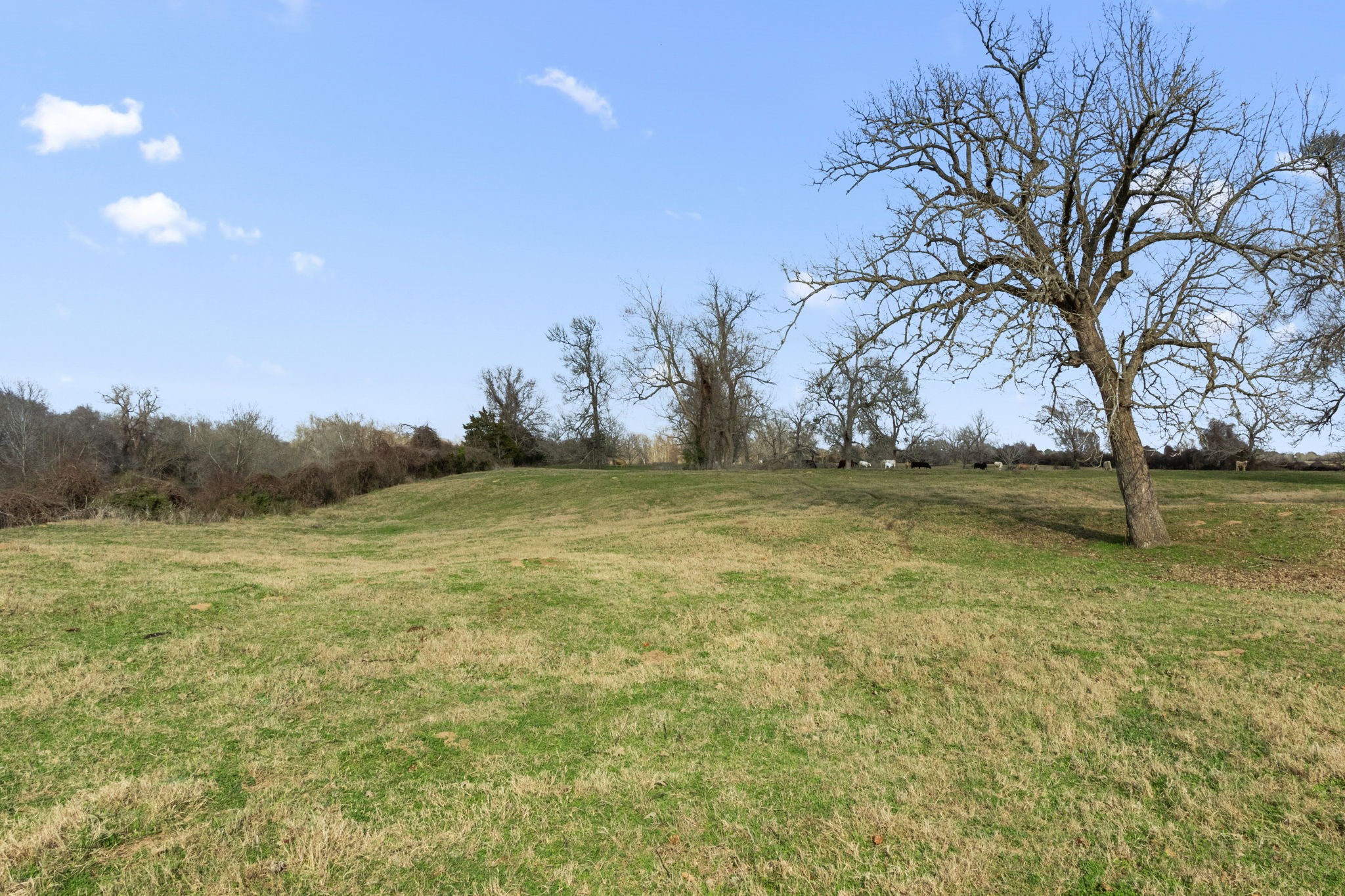 Tbd Shaws Bend Road Columbus, TX 78934 - Photo 24 of 35 a view of a lake view