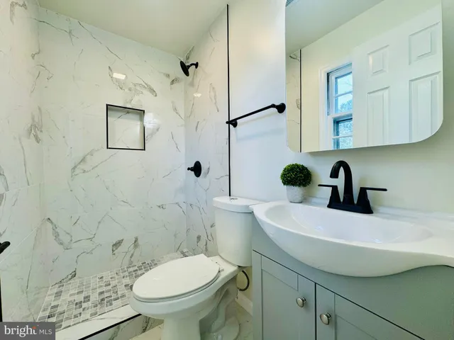 a bathroom with a sink toilet a shower and bathtub