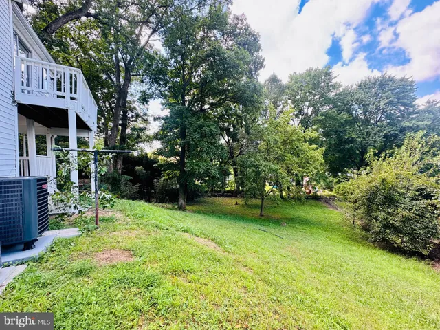 a view of a park with large trees