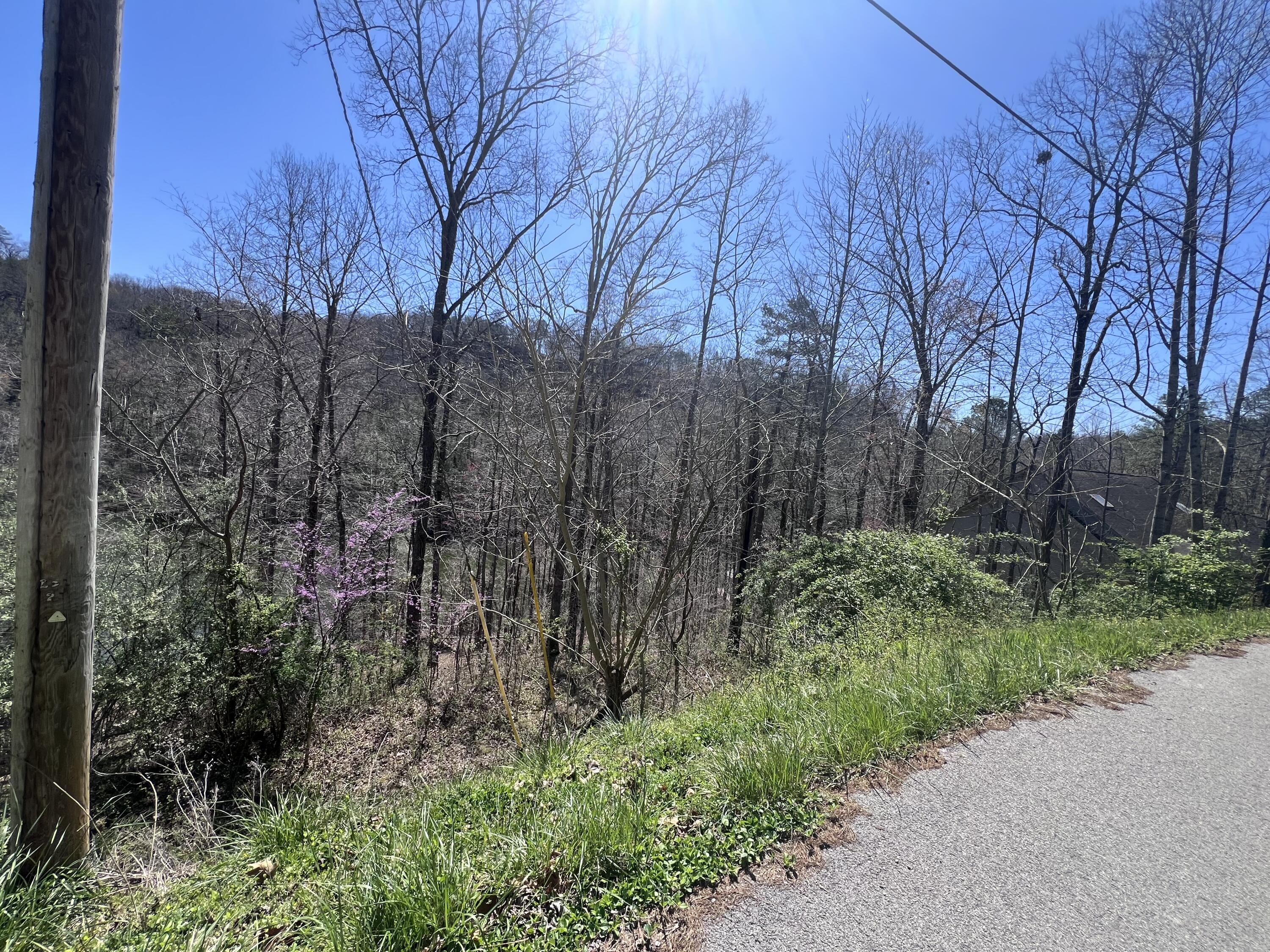 9911 Cliffs Edge Road East Bernstadt, KY 40729 - Photo 3 of 12 IMG_1710