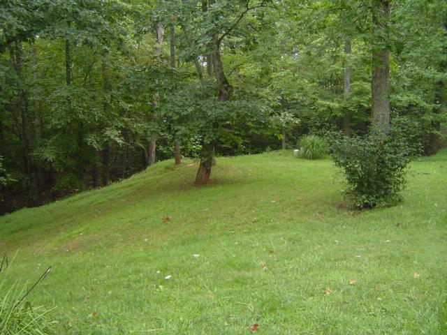 1397 Altice Mill Road Rocky Mount, VA 24151 - Photo 4 of 17 Yard