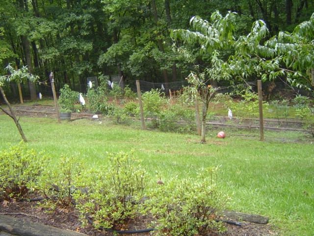 1397 Altice Mill Road Rocky Mount, VA 24151 - Photo 5 of 17 Yard