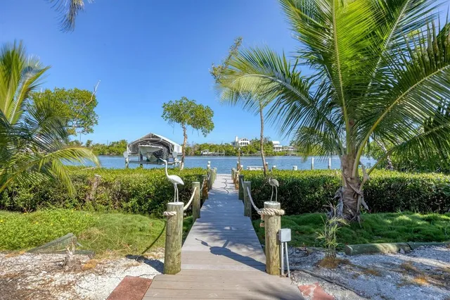 a view of a yard with plants and palm trees