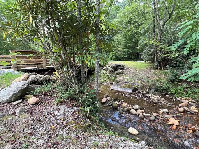 a view of a forest with large trees