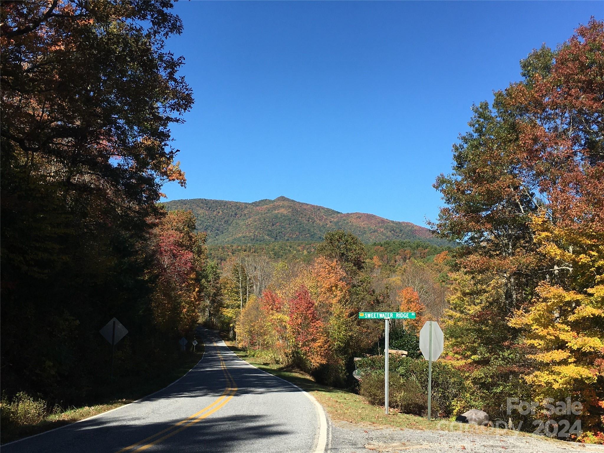 3 Sweetwater Rdg Road Balsam Grove, NC 28708 - Photo 13 of 31 a view of a street with a building in the background