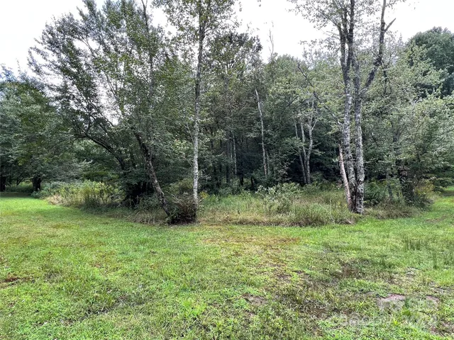 a view of outdoor space and green field