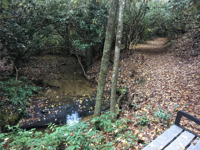 a view of a garden with plants and large trees