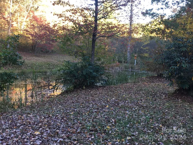 a view of a barn in the middle of a forest