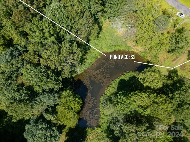 a view of a bunch of plants and small trees