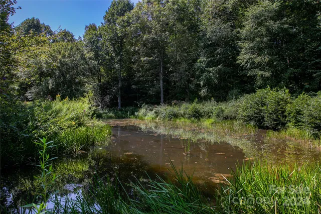 a view of a garden with a fountain
