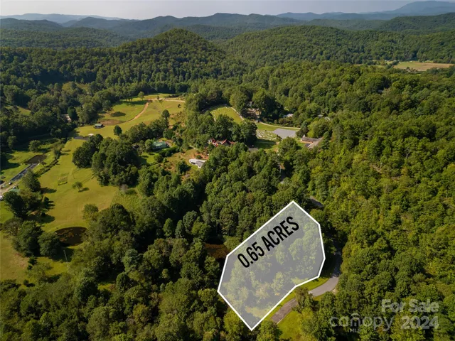 a view of a forest with a mountain