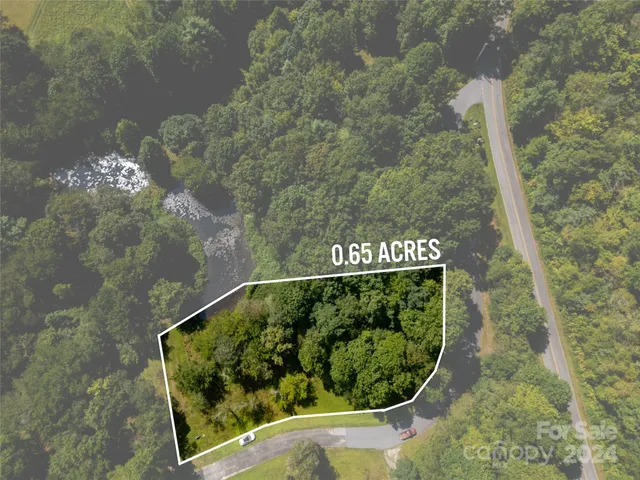 a view of a painting of a tree