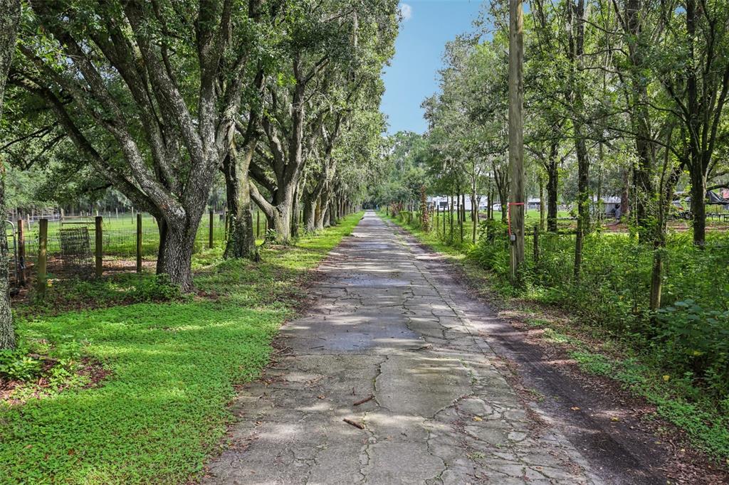 5321 Bruton Road Plant City, FL 33565 - Photo 6 of 24 Gallery Image 6
