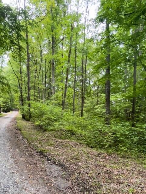 1 Grindstone Knob Rd Unit 1