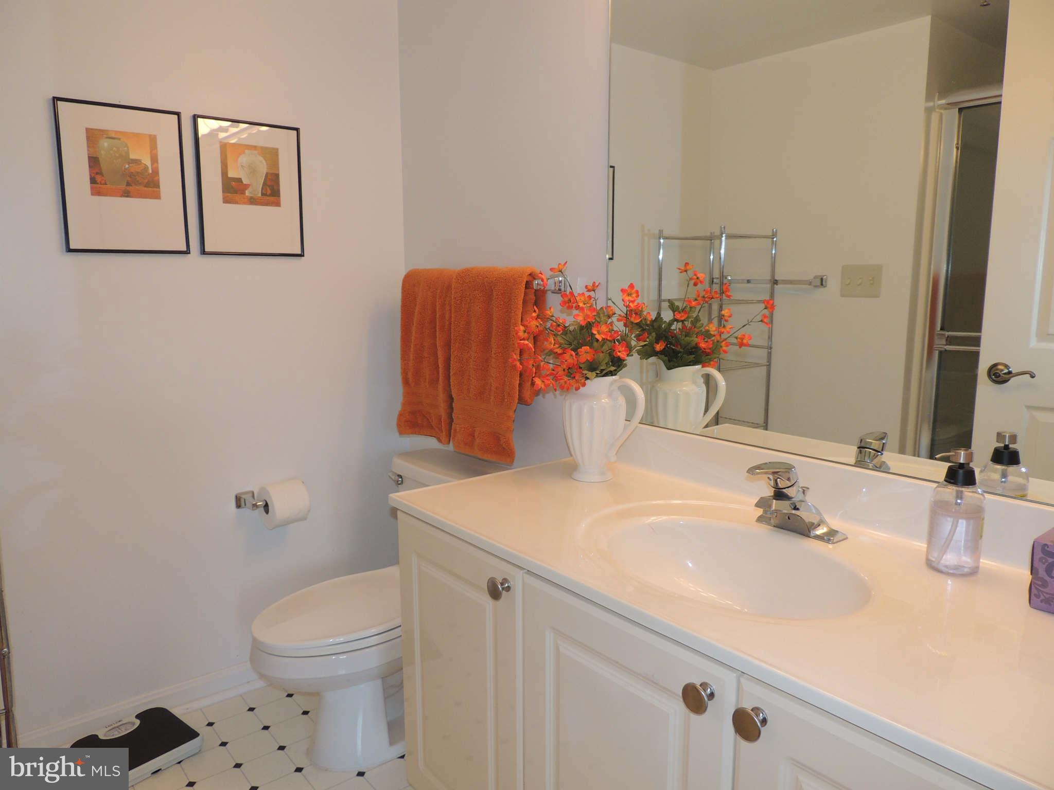 19385 Cypress Ridge Terrace, Unit 619 Leesburg, VA 20176 - Photo 14 of 17 a bathroom with a sink vanity mirror and toilet