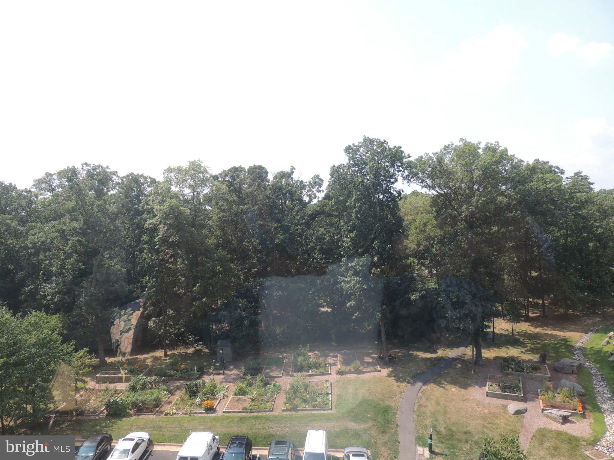 19385 Cypress Ridge Terrace, Unit 619 Leesburg, VA 20176 - Photo 17 of 17 a view of swimming pool with a yard