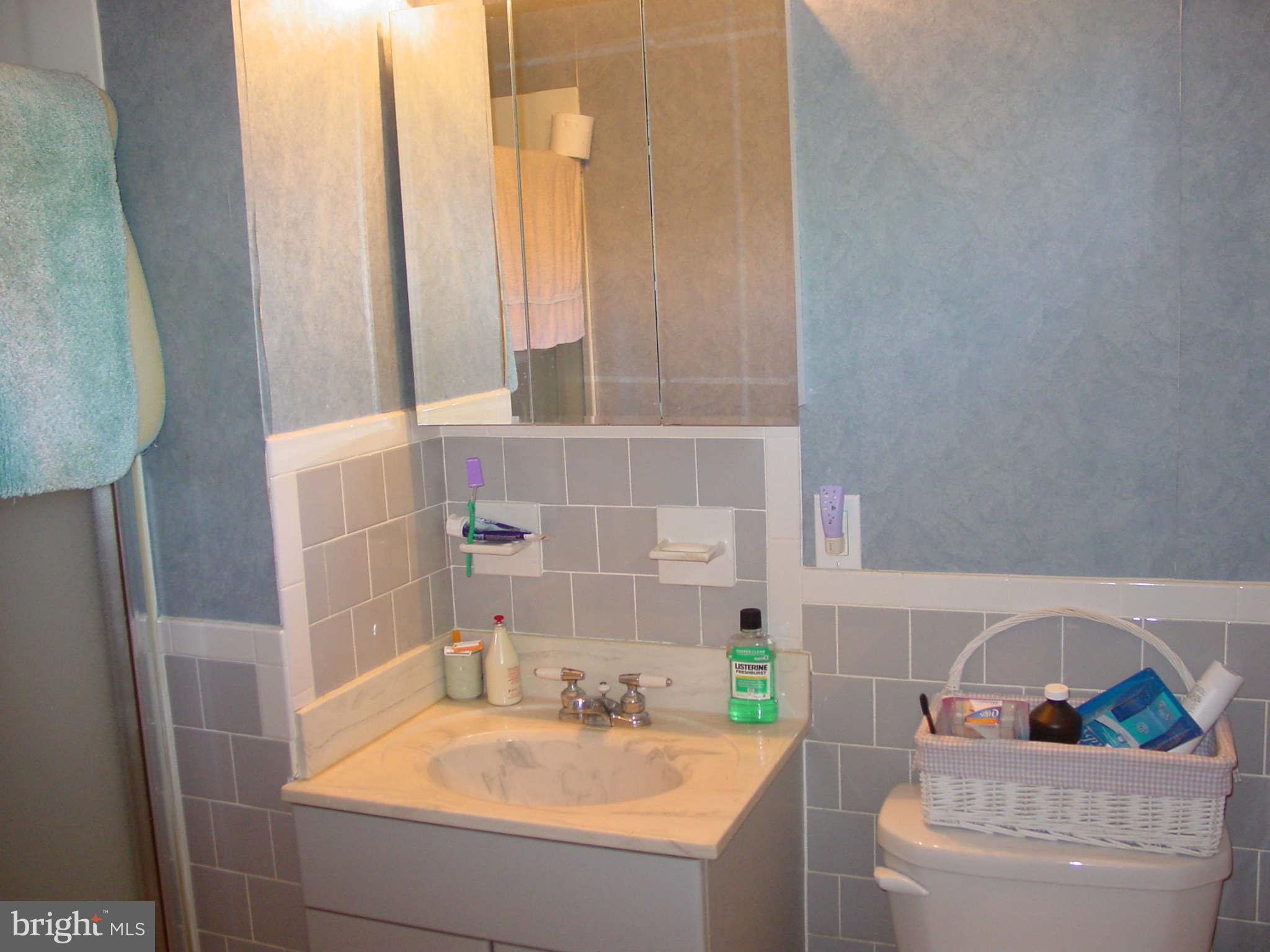 6102 Rusk Avenue Baltimore, MD 21209 - Photo 12 of 21 Bath