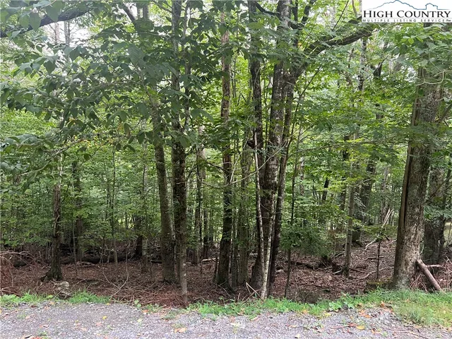 $30,000 | 117 Lower Grouse Ridge Road, Beech Mountain, NC 28604