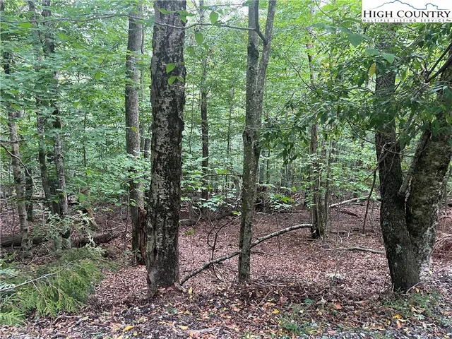 $30,000 | 117 Lower Grouse Ridge Road, Beech Mountain, NC 28604