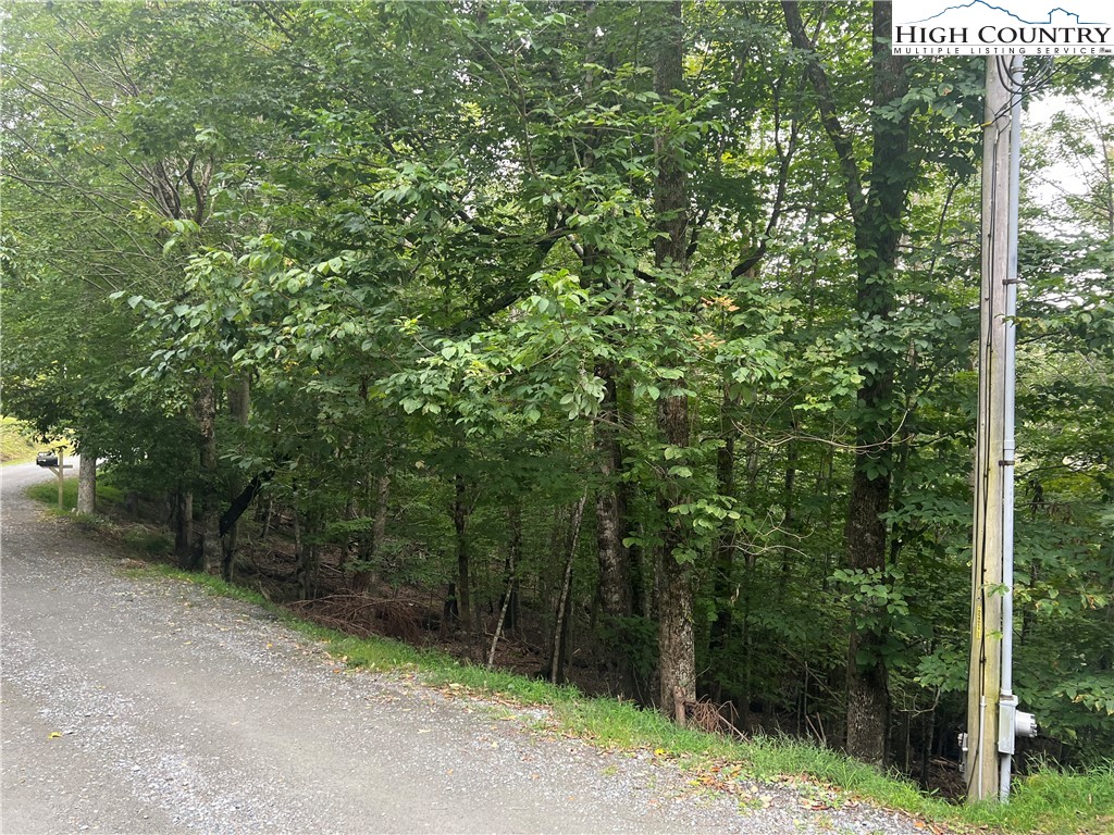 117 Lower Grouse Ridge Road Beech Mountain, NC 28604 - Photo 3 of 3 Gallery Image 3