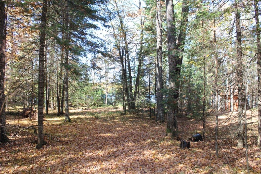 2050 South Anvil Lake Road Eagle River, WI 54521 - Photo 12 of 37 Gallery Image 12