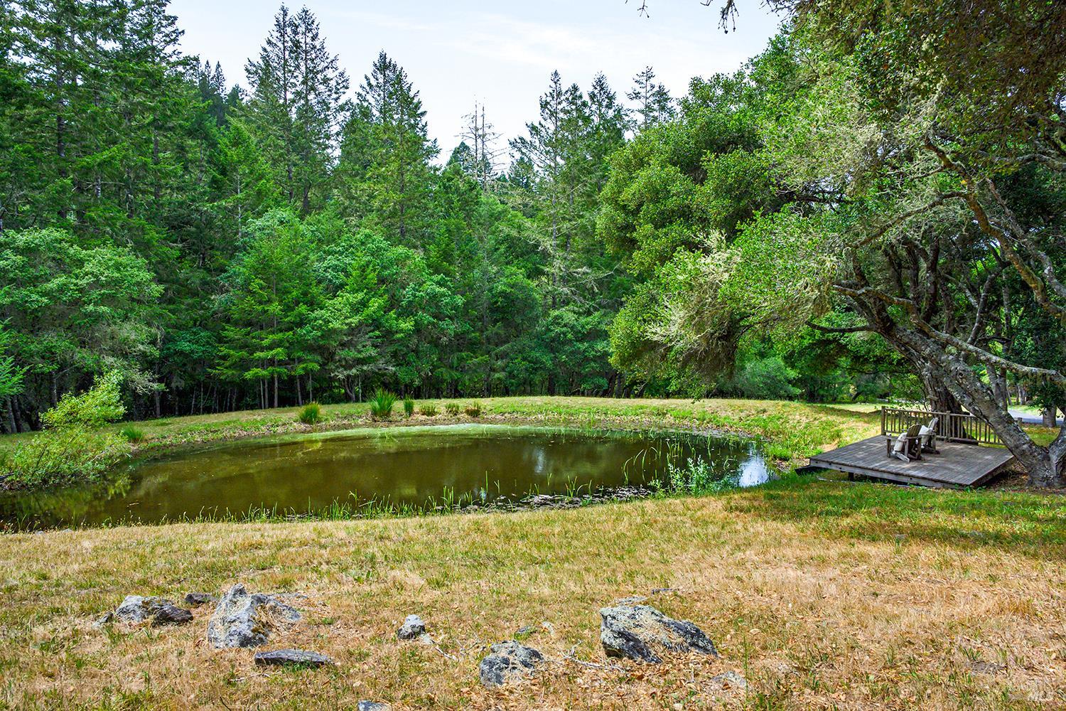 2585 Marra Road Occidental, CA 95465 - Photo 4 of 58