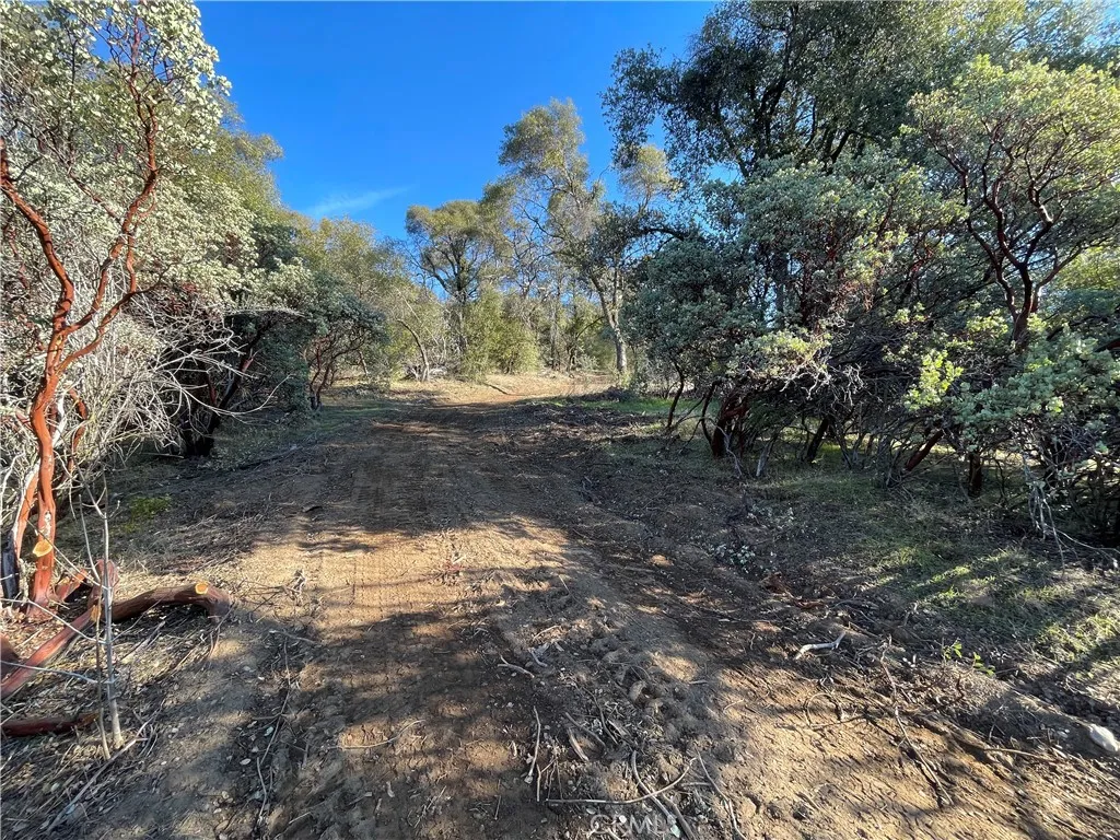20 Harris Cut Off Road Mariposa, CA 95338 - Photo 8 of 10 a view of a yard with a tree