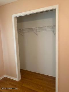 8427 Tate Panola Road Sarah, MS 38665 - Photo 14 of 19 closet 2