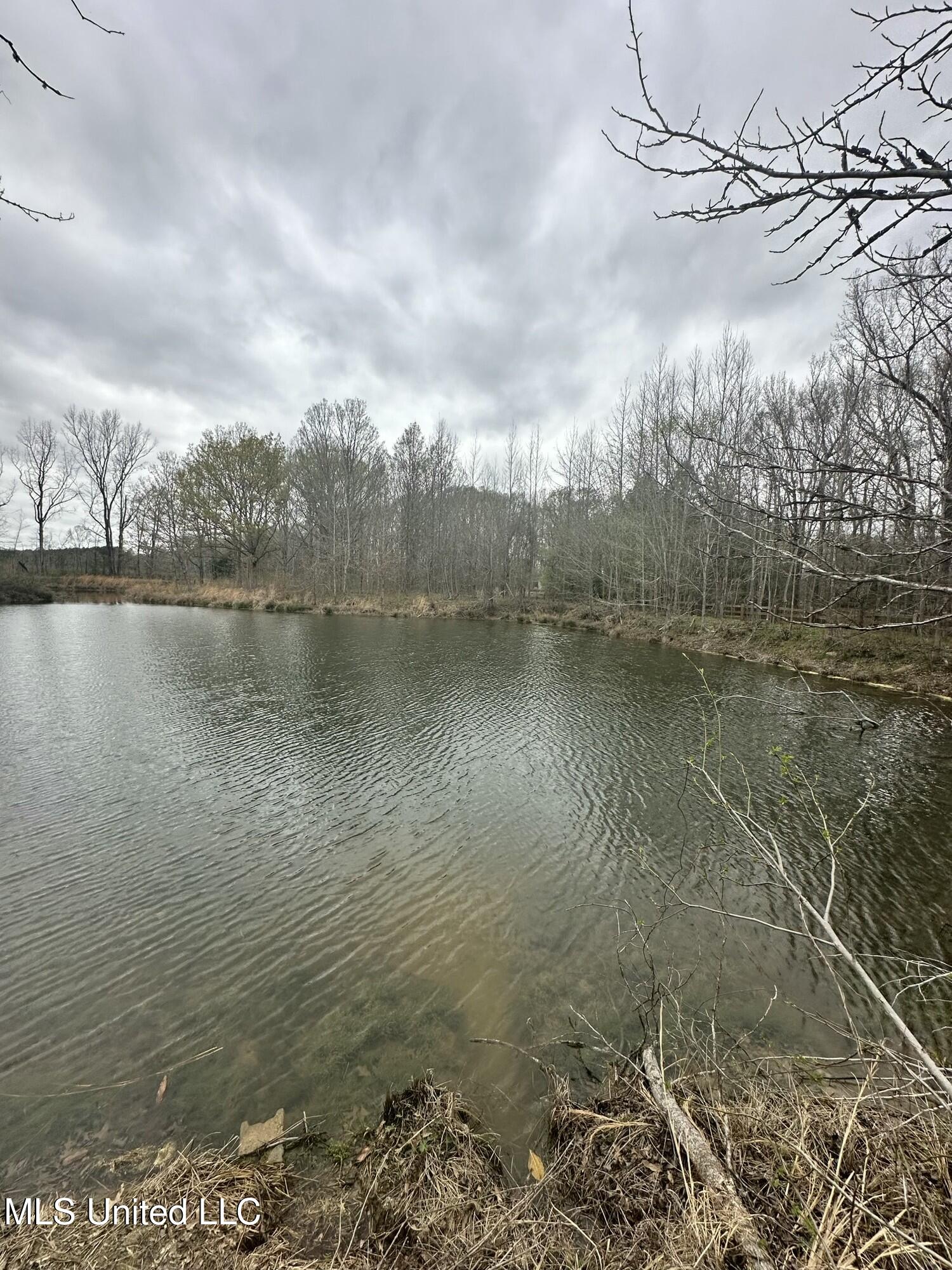 523 Abernathy Road Flora, MS 39071 - Photo 3 of 15 tempImagezJb8F5